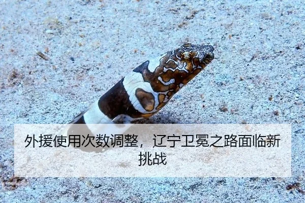 wai-yuan-shi-yong-ci-shu-tiao-zheng-liao-ning-wei-mian-zhi-lu-mian-lin-xin-tiao-zhan-3-204.jpg